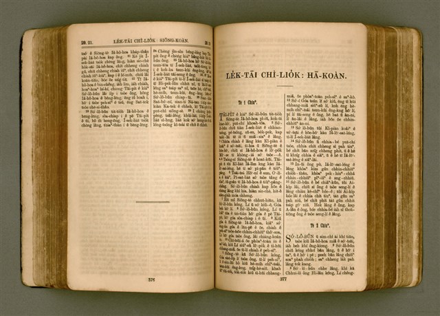 主要名稱：SIN KŪ IOK Ê SÈNG-KENG  TSOÂN SU/其他-其他名稱：新舊約ê聖經全書圖檔，第195張，共571張