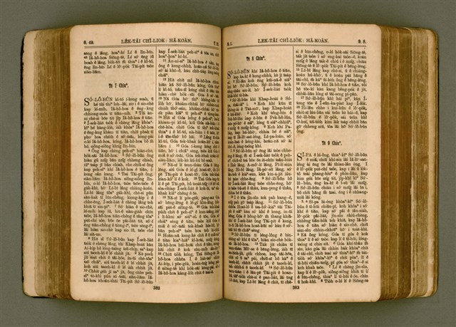 主要名稱：SIN KŪ IOK Ê SÈNG-KENG  TSOÂN SU/其他-其他名稱：新舊約ê聖經全書圖檔，第198張，共571張