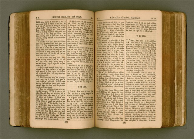 主要名稱：SIN KŪ IOK Ê SÈNG-KENG  TSOÂN SU/其他-其他名稱：新舊約ê聖經全書圖檔，第199張，共571張