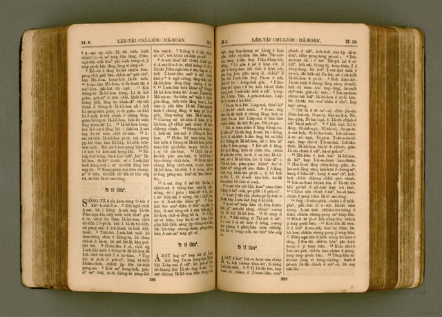 主要名稱：SIN KŪ IOK Ê SÈNG-KENG  TSOÂN SU/其他-其他名稱：新舊約ê聖經全書圖檔，第201張，共571張