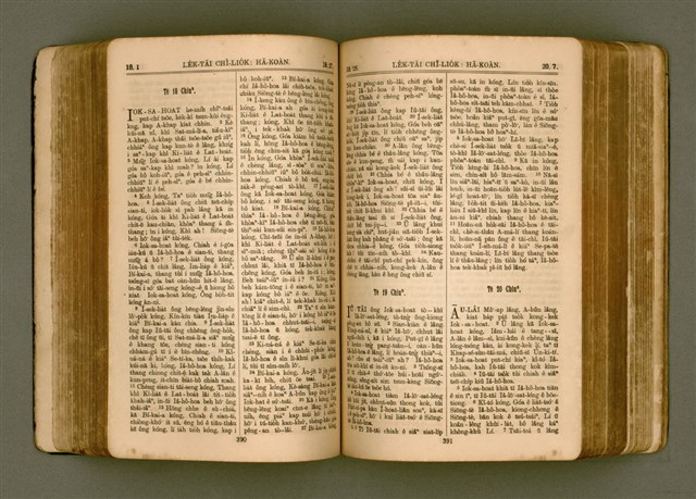 主要名稱：SIN KŪ IOK Ê SÈNG-KENG  TSOÂN SU/其他-其他名稱：新舊約ê聖經全書圖檔，第202張，共571張