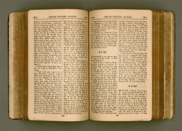 主要名稱：SIN KŪ IOK Ê SÈNG-KENG  TSOÂN SU/其他-其他名稱：新舊約ê聖經全書圖檔，第203張，共571張