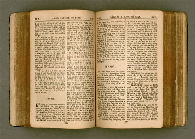 主要名稱：SIN KŪ IOK Ê SÈNG-KENG  TSOÂN SU/其他-其他名稱：新舊約ê聖經全書圖檔，第204張，共571張