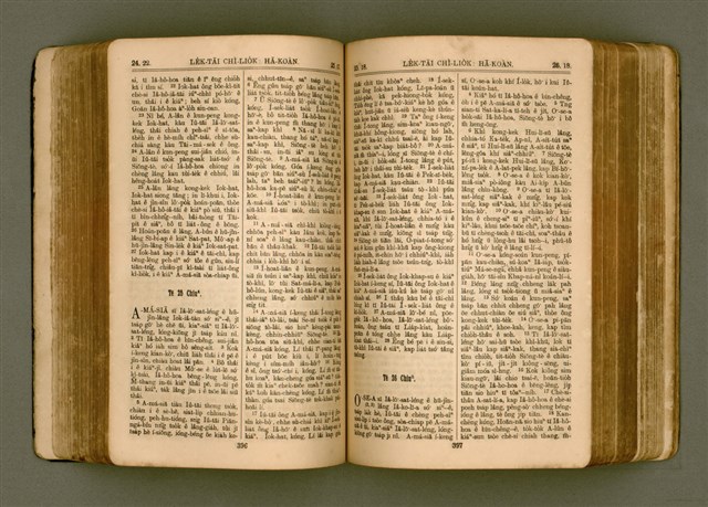 主要名稱：SIN KŪ IOK Ê SÈNG-KENG  TSOÂN SU/其他-其他名稱：新舊約ê聖經全書圖檔，第205張，共571張