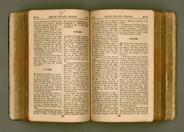 主要名稱：SIN KŪ IOK Ê SÈNG-KENG  TSOÂN SU/其他-其他名稱：新舊約ê聖經全書圖檔，第206張，共571張