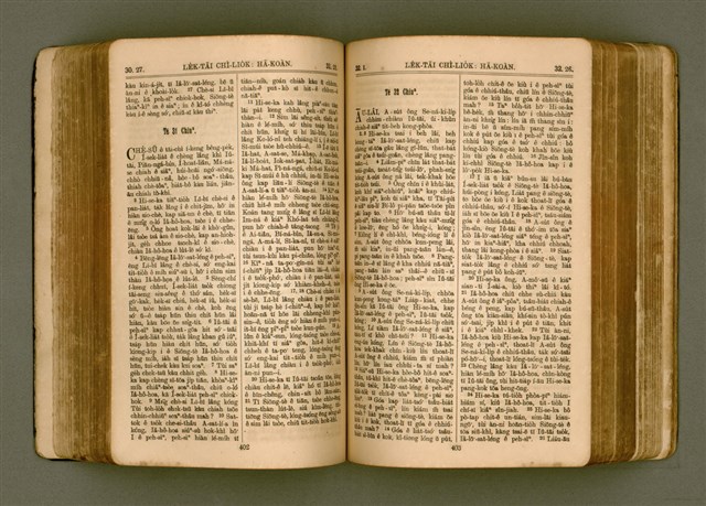 主要名稱：SIN KŪ IOK Ê SÈNG-KENG  TSOÂN SU/其他-其他名稱：新舊約ê聖經全書圖檔，第208張，共571張