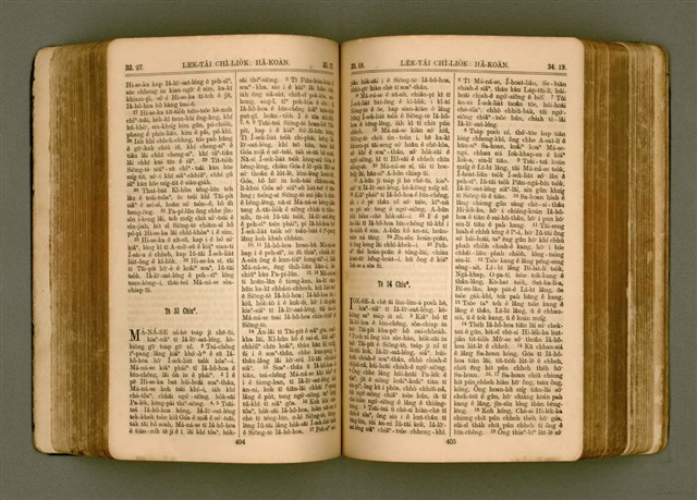 主要名稱：SIN KŪ IOK Ê SÈNG-KENG  TSOÂN SU/其他-其他名稱：新舊約ê聖經全書圖檔，第209張，共571張