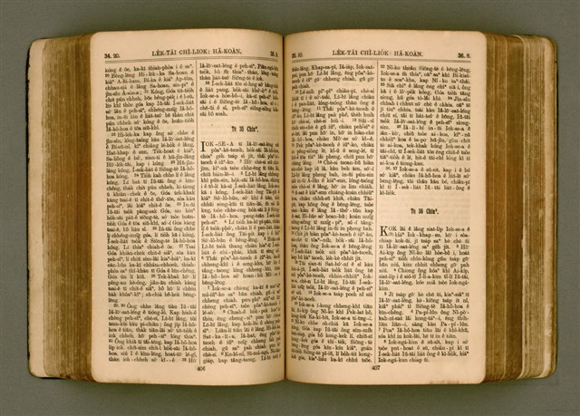 主要名稱：SIN KŪ IOK Ê SÈNG-KENG  TSOÂN SU/其他-其他名稱：新舊約ê聖經全書圖檔，第210張，共571張