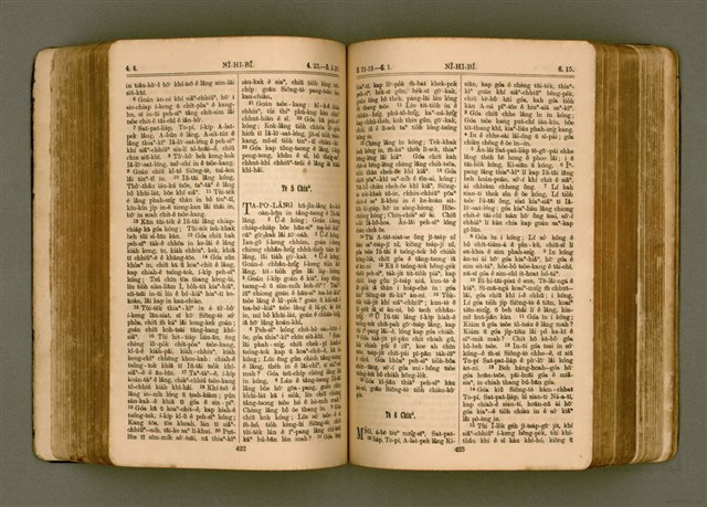 主要名稱：SIN KŪ IOK Ê SÈNG-KENG  TSOÂN SU/其他-其他名稱：新舊約ê聖經全書圖檔，第218張，共571張