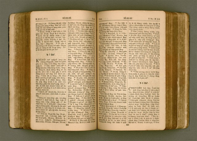 主要名稱：SIN KŪ IOK Ê SÈNG-KENG  TSOÂN SU/其他-其他名稱：新舊約ê聖經全書圖檔，第219張，共571張