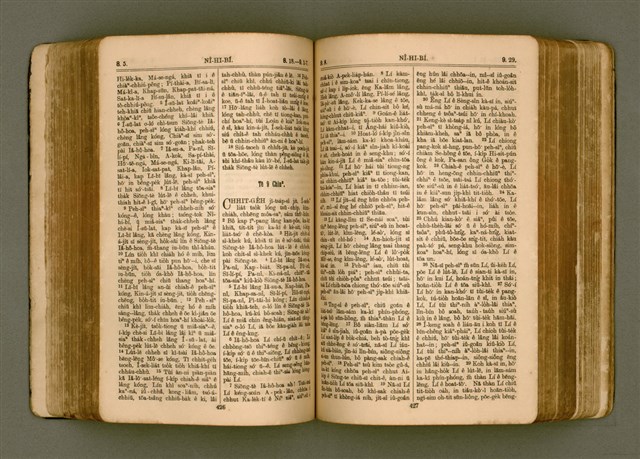 主要名稱：SIN KŪ IOK Ê SÈNG-KENG  TSOÂN SU/其他-其他名稱：新舊約ê聖經全書圖檔，第220張，共571張