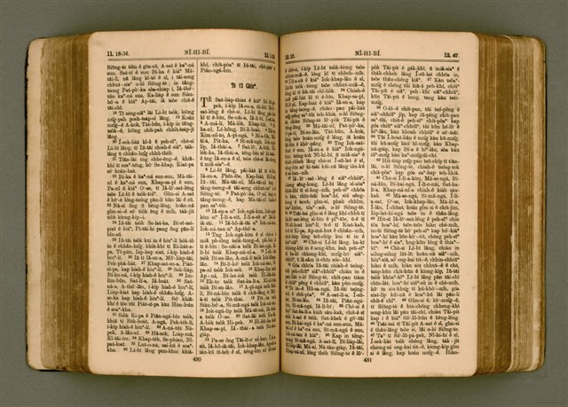 主要名稱：SIN KŪ IOK Ê SÈNG-KENG  TSOÂN SU/其他-其他名稱：新舊約ê聖經全書圖檔，第222張，共571張