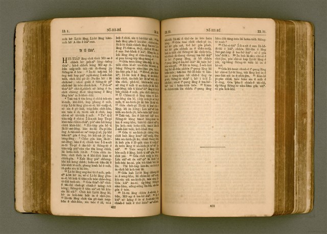 主要名稱：SIN KŪ IOK Ê SÈNG-KENG  TSOÂN SU/其他-其他名稱：新舊約ê聖經全書圖檔，第223張，共571張