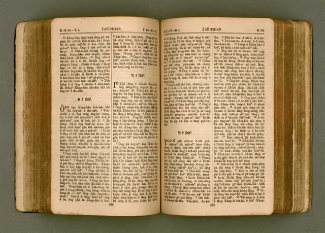 主要名稱：SIN KŪ IOK Ê SÈNG-KENG  TSOÂN SU/其他-其他名稱：新舊約ê聖經全書圖檔，第226張，共571張