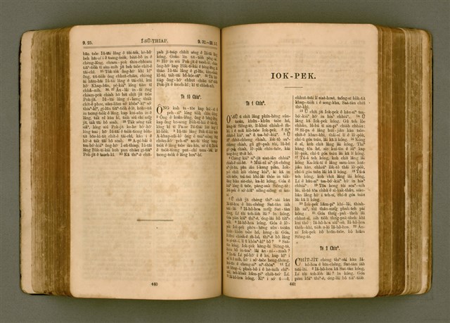 主要名稱：SIN KŪ IOK Ê SÈNG-KENG  TSOÂN SU/其他-其他名稱：新舊約ê聖經全書圖檔，第227張，共571張