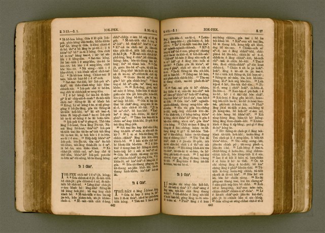 主要名稱：SIN KŪ IOK Ê SÈNG-KENG  TSOÂN SU/其他-其他名稱：新舊約ê聖經全書圖檔，第228張，共571張