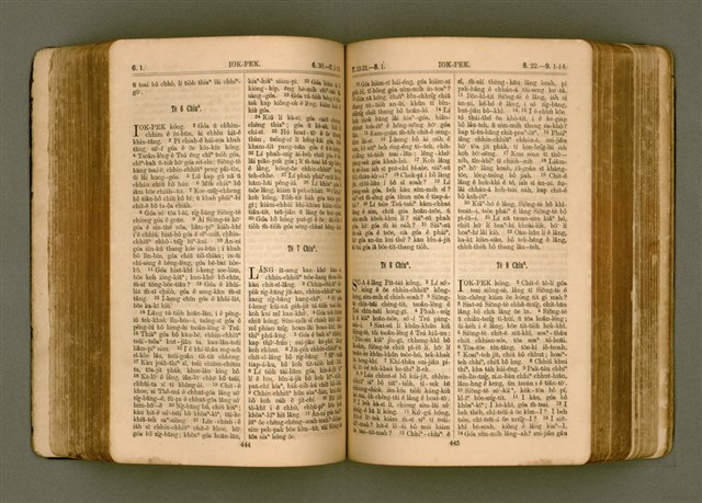 主要名稱：SIN KŪ IOK Ê SÈNG-KENG  TSOÂN SU/其他-其他名稱：新舊約ê聖經全書圖檔，第229張，共571張