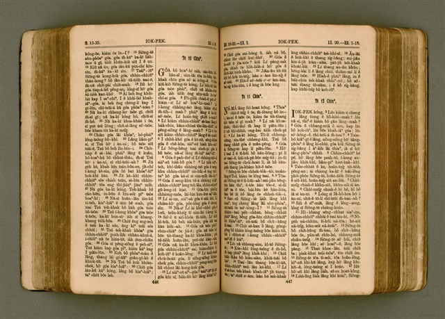 主要名稱：SIN KŪ IOK Ê SÈNG-KENG  TSOÂN SU/其他-其他名稱：新舊約ê聖經全書圖檔，第230張，共571張