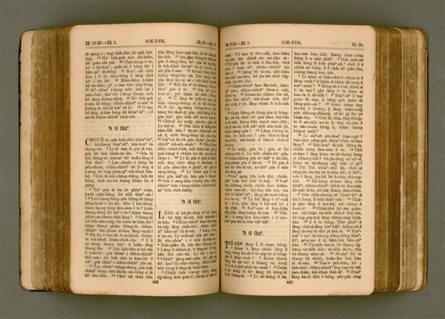 主要名稱：SIN KŪ IOK Ê SÈNG-KENG  TSOÂN SU/其他-其他名稱：新舊約ê聖經全書圖檔，第231張，共571張