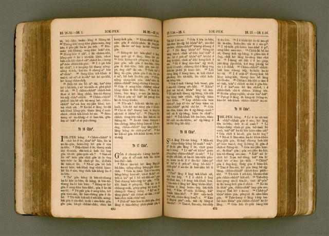 主要名稱：SIN KŪ IOK Ê SÈNG-KENG  TSOÂN SU/其他-其他名稱：新舊約ê聖經全書圖檔，第232張，共571張