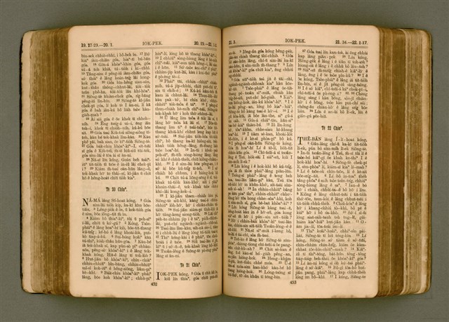 主要名稱：SIN KŪ IOK Ê SÈNG-KENG  TSOÂN SU/其他-其他名稱：新舊約ê聖經全書圖檔，第233張，共571張