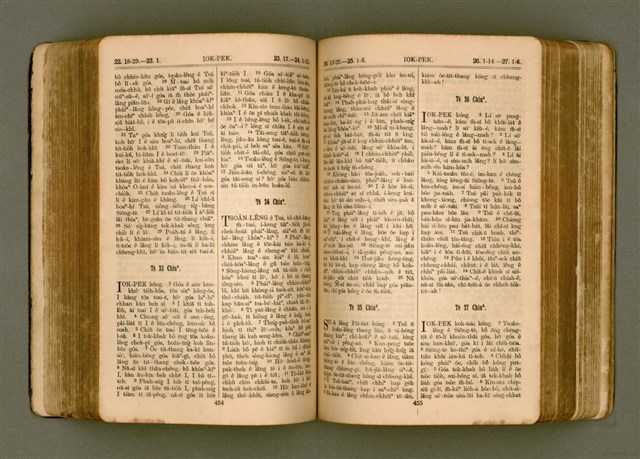 主要名稱：SIN KŪ IOK Ê SÈNG-KENG  TSOÂN SU/其他-其他名稱：新舊約ê聖經全書圖檔，第234張，共571張