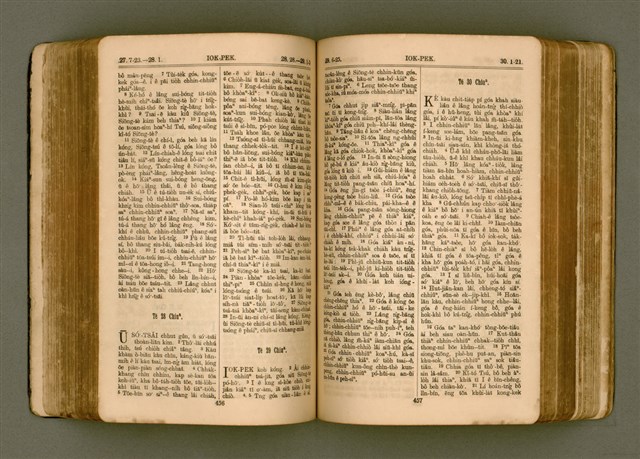 主要名稱：SIN KŪ IOK Ê SÈNG-KENG  TSOÂN SU/其他-其他名稱：新舊約ê聖經全書圖檔，第235張，共571張