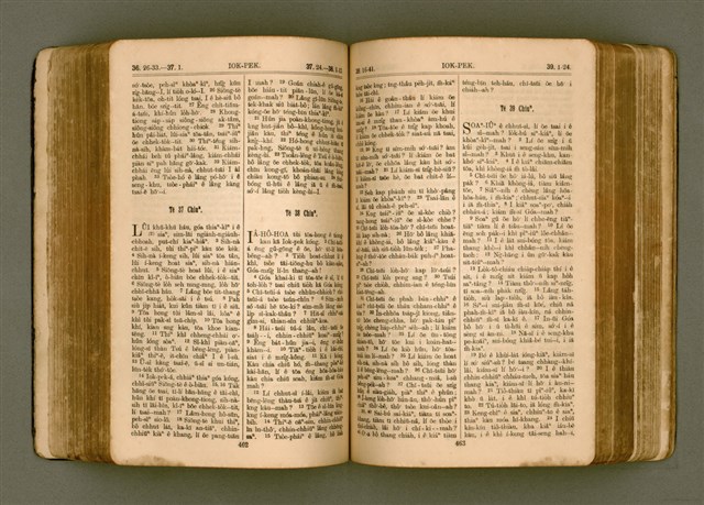 主要名稱：SIN KŪ IOK Ê SÈNG-KENG  TSOÂN SU/其他-其他名稱：新舊約ê聖經全書圖檔，第238張，共571張