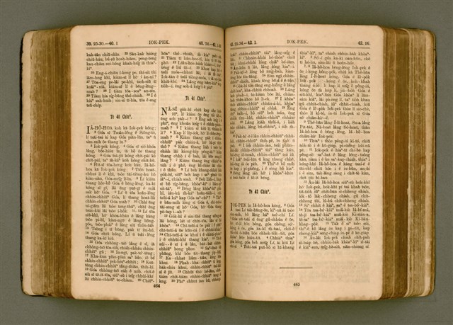 主要名稱：SIN KŪ IOK Ê SÈNG-KENG  TSOÂN SU/其他-其他名稱：新舊約ê聖經全書圖檔，第239張，共571張