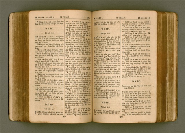 主要名稱：SIN KŪ IOK Ê SÈNG-KENG  TSOÂN SU/其他-其他名稱：新舊約ê聖經全書圖檔，第246張，共571張