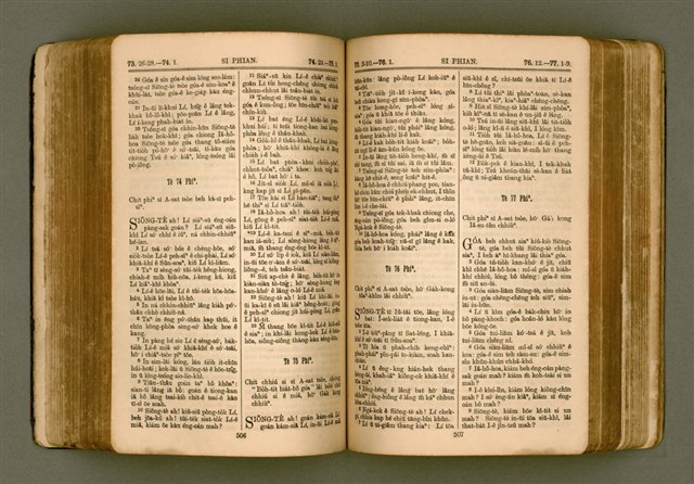 主要名稱：SIN KŪ IOK Ê SÈNG-KENG  TSOÂN SU/其他-其他名稱：新舊約ê聖經全書圖檔，第260張，共571張