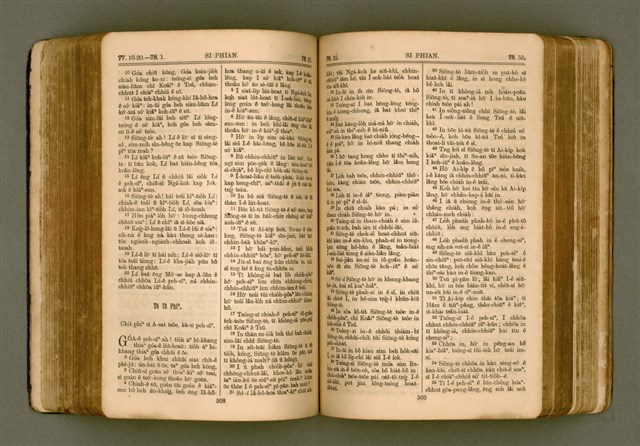 主要名稱：SIN KŪ IOK Ê SÈNG-KENG  TSOÂN SU/其他-其他名稱：新舊約ê聖經全書圖檔，第261張，共571張