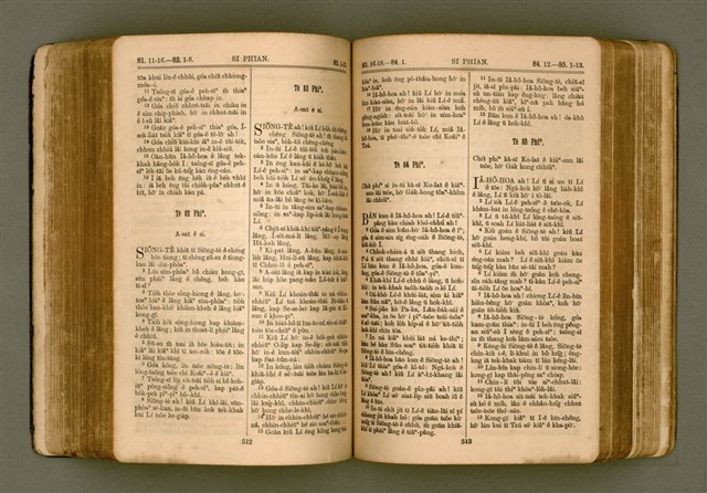 主要名稱：SIN KŪ IOK Ê SÈNG-KENG  TSOÂN SU/其他-其他名稱：新舊約ê聖經全書圖檔，第263張，共571張