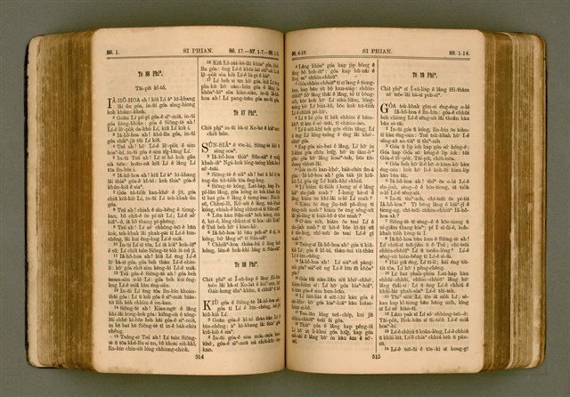 主要名稱：SIN KŪ IOK Ê SÈNG-KENG  TSOÂN SU/其他-其他名稱：新舊約ê聖經全書圖檔，第264張，共571張