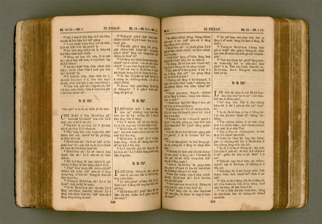 主要名稱：SIN KŪ IOK Ê SÈNG-KENG  TSOÂN SU/其他-其他名稱：新舊約ê聖經全書圖檔，第266張，共571張