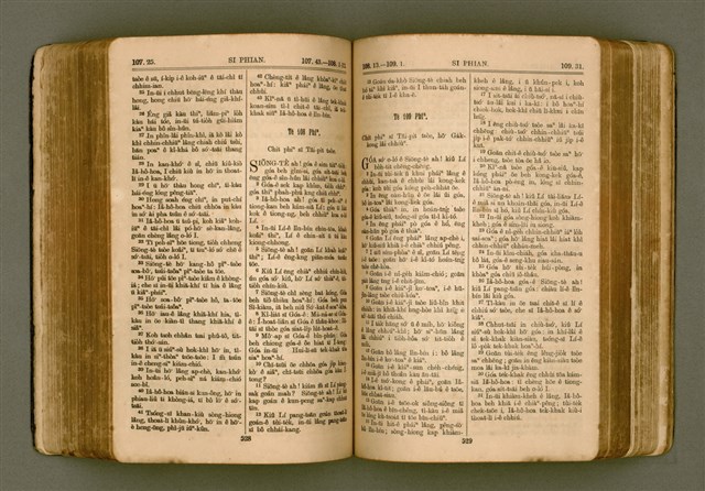 主要名稱：SIN KŪ IOK Ê SÈNG-KENG  TSOÂN SU/其他-其他名稱：新舊約ê聖經全書圖檔，第271張，共571張