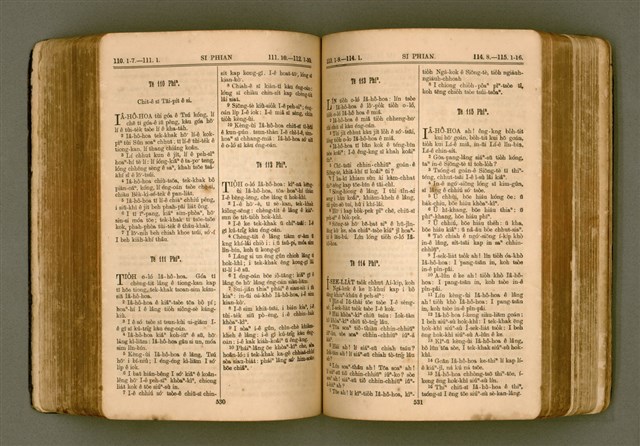 主要名稱：SIN KŪ IOK Ê SÈNG-KENG  TSOÂN SU/其他-其他名稱：新舊約ê聖經全書圖檔，第272張，共571張