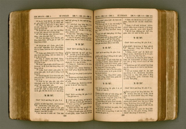 主要名稱：SIN KŪ IOK Ê SÈNG-KENG  TSOÂN SU/其他-其他名稱：新舊約ê聖經全書圖檔，第276張，共571張