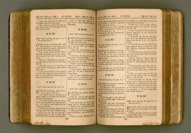 主要名稱：SIN KŪ IOK Ê SÈNG-KENG  TSOÂN SU/其他-其他名稱：新舊約ê聖經全書圖檔，第277張，共571張