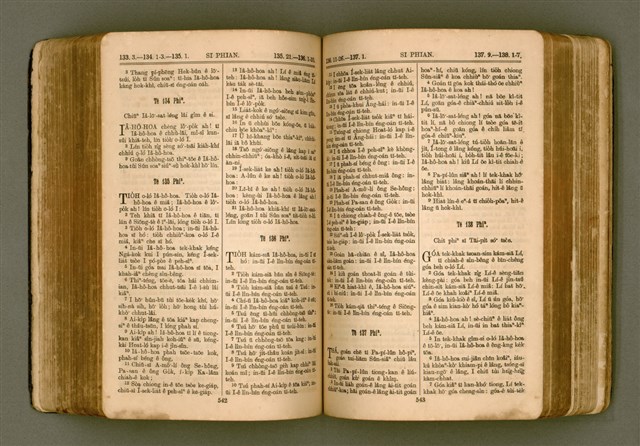 主要名稱：SIN KŪ IOK Ê SÈNG-KENG  TSOÂN SU/其他-其他名稱：新舊約ê聖經全書圖檔，第278張，共571張