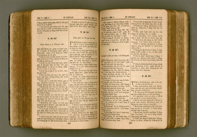 主要名稱：SIN KŪ IOK Ê SÈNG-KENG  TSOÂN SU/其他-其他名稱：新舊約ê聖經全書圖檔，第280張，共571張