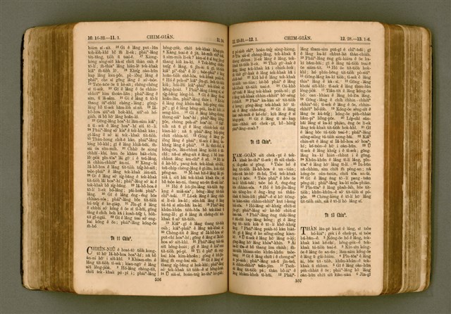 主要名稱：SIN KŪ IOK Ê SÈNG-KENG  TSOÂN SU/其他-其他名稱：新舊約ê聖經全書圖檔，第285張，共571張