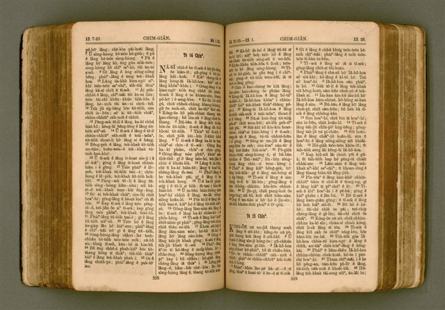 主要名稱：SIN KŪ IOK Ê SÈNG-KENG  TSOÂN SU/其他-其他名稱：新舊約ê聖經全書圖檔，第286張，共571張