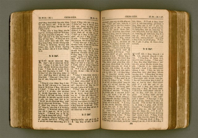 主要名稱：SIN KŪ IOK Ê SÈNG-KENG  TSOÂN SU/其他-其他名稱：新舊約ê聖經全書圖檔，第287張，共571張