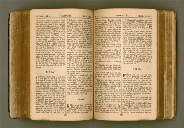 主要名稱：SIN KŪ IOK Ê SÈNG-KENG  TSOÂN SU/其他-其他名稱：新舊約ê聖經全書圖檔，第289張，共571張