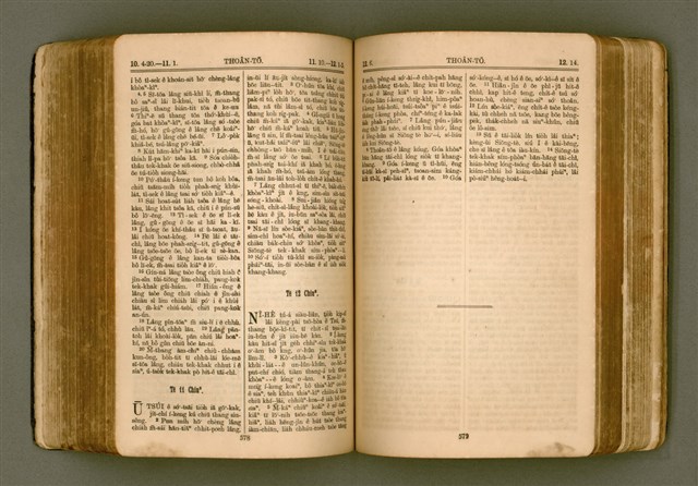 主要名稱：SIN KŪ IOK Ê SÈNG-KENG  TSOÂN SU/其他-其他名稱：新舊約ê聖經全書圖檔，第296張，共571張