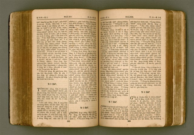 主要名稱：SIN KŪ IOK Ê SÈNG-KENG  TSOÂN SU/其他-其他名稱：新舊約ê聖經全書圖檔，第298張，共571張