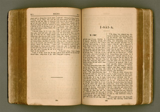 主要名稱：SIN KŪ IOK Ê SÈNG-KENG  TSOÂN SU/其他-其他名稱：新舊約ê聖經全書圖檔，第299張，共571張