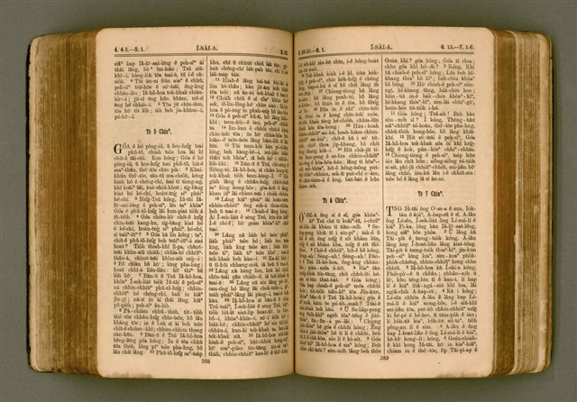 主要名稱：SIN KŪ IOK Ê SÈNG-KENG  TSOÂN SU/其他-其他名稱：新舊約ê聖經全書圖檔，第301張，共571張