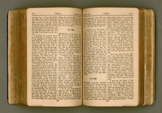 主要名稱：SIN KŪ IOK Ê SÈNG-KENG  TSOÂN SU/其他-其他名稱：新舊約ê聖經全書圖檔，第302張，共571張